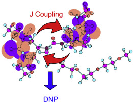 Biradical rotamer states tune electron J coupling and MAS dynamic nuclear polarization enhancement