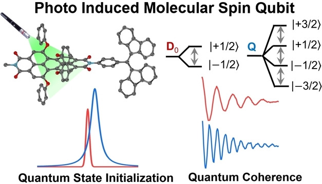 Optical Spin Polarization of a Narrow‐Linewidth Electron‐Spin Qubit in a Chromophore/Stable‐Radical System